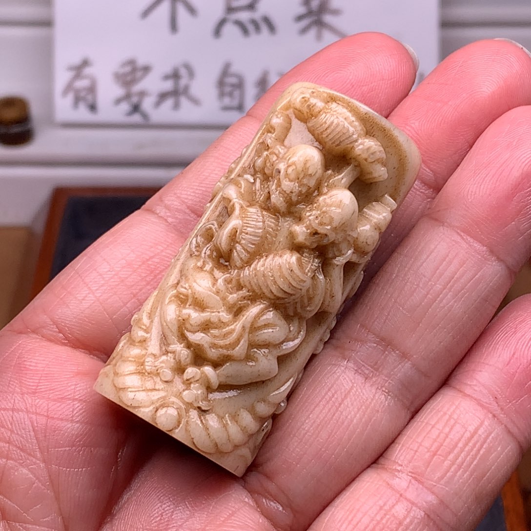 驼骨其他天天都在盘