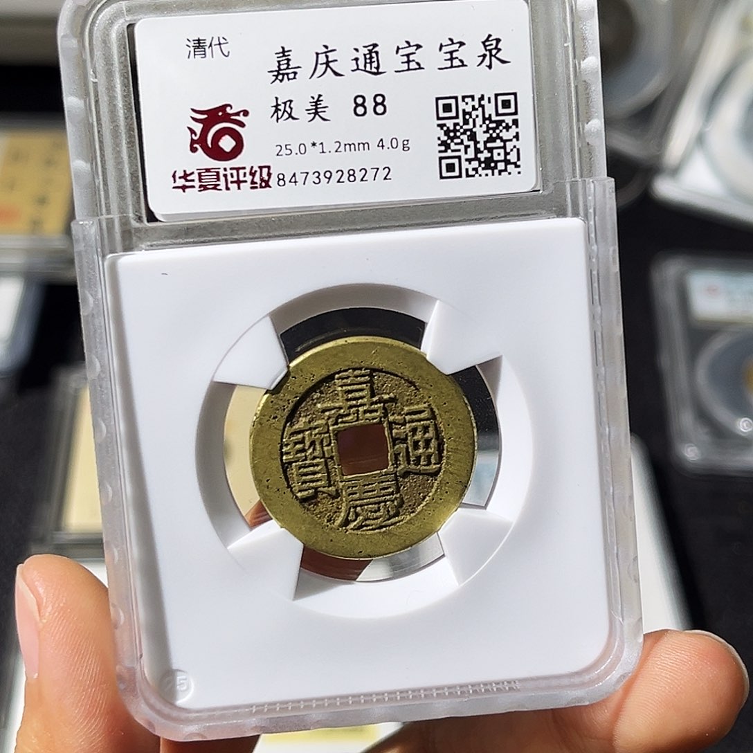 铜岩***娘小瑶，华夏嘉庆宝泉，评级码8272