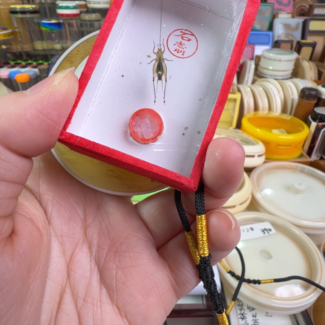 一个中号平安扣加一只大黄蛉