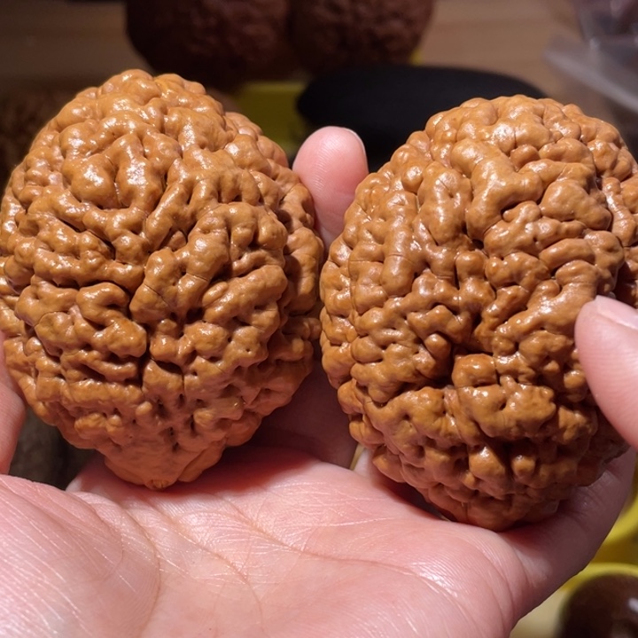 桃核把件疙瘩龙金刚菩提子