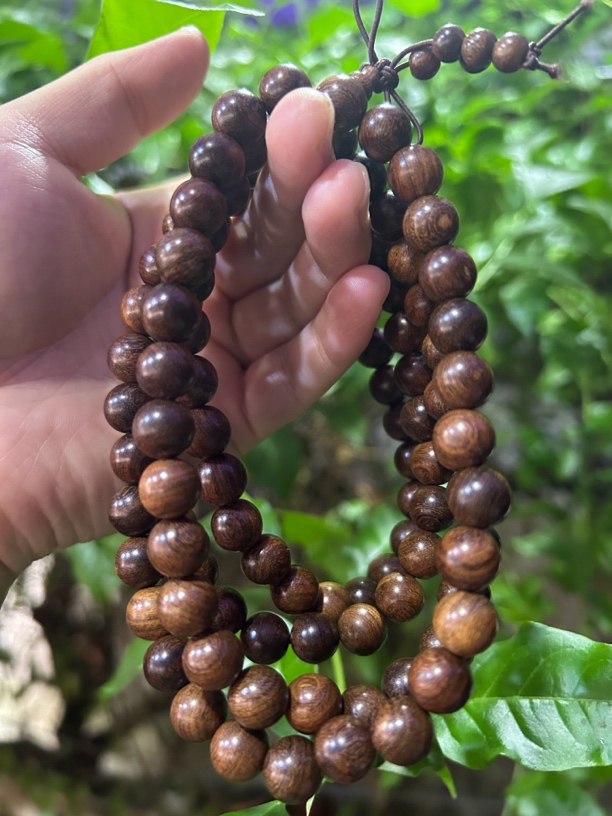 【土特产菇523】净含量65g