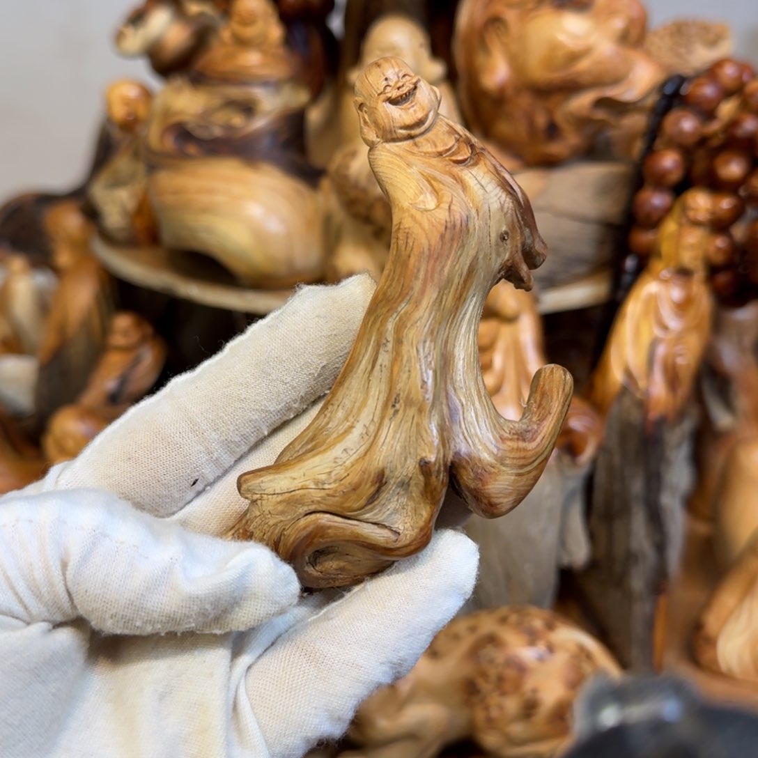 柏木（崖柏）666666666666666