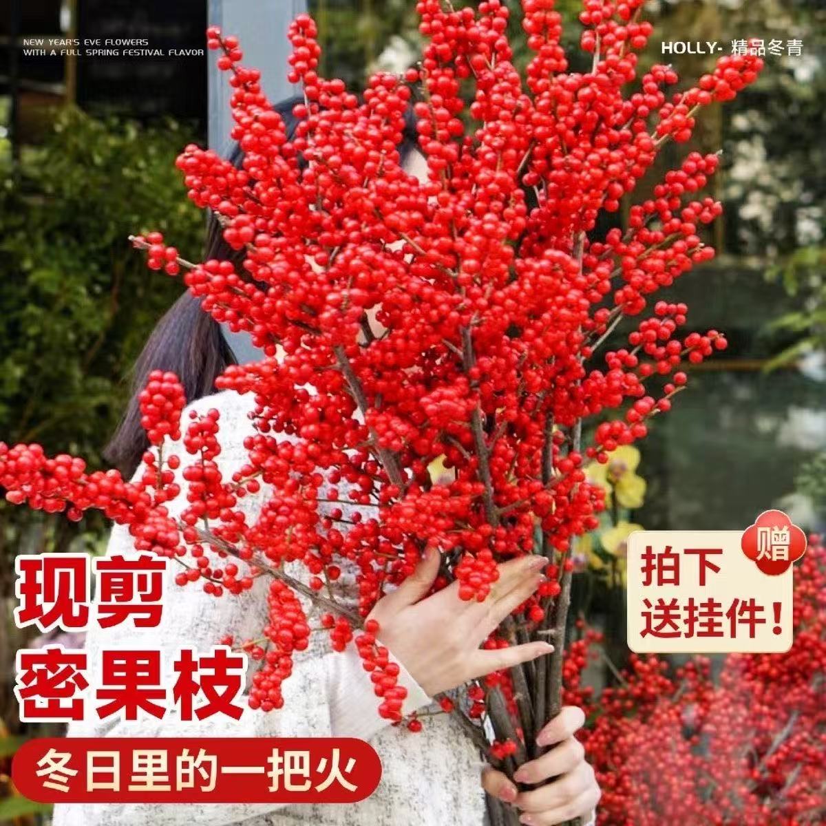 【大气桌面款】60-70cm北美冬青A级观赏中国红季居公瓶插花新鲜切枝