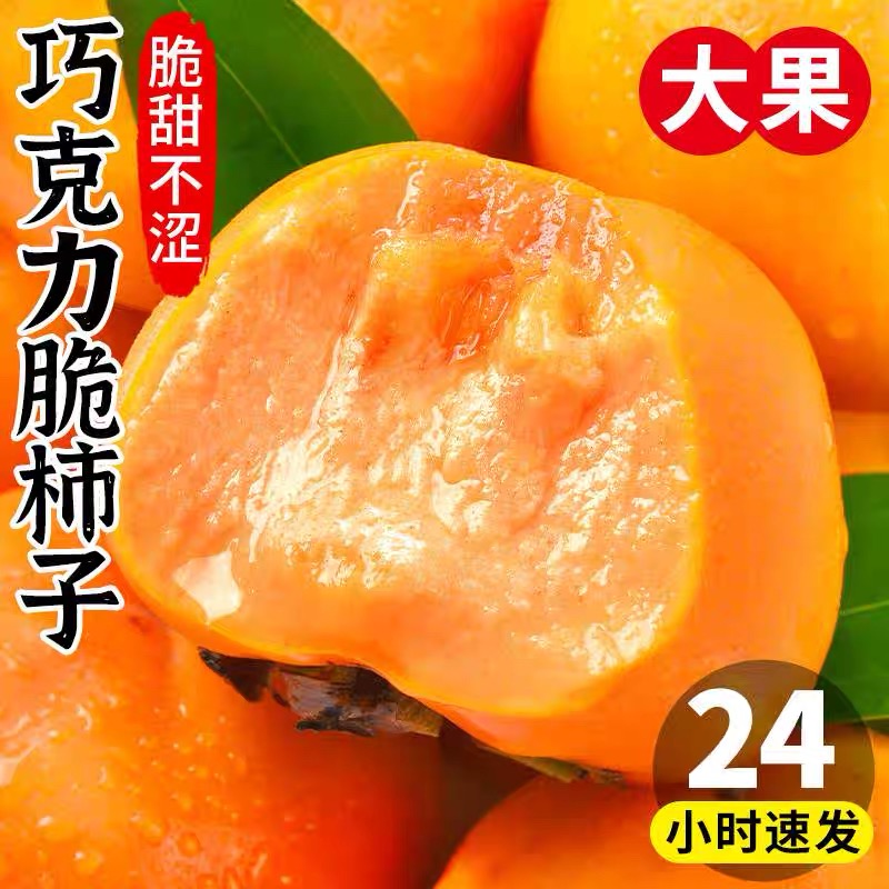 新鲜巧克力脆柿子孕妇水果硬柿子应季脆皮柿子（陕西山西两仓发）