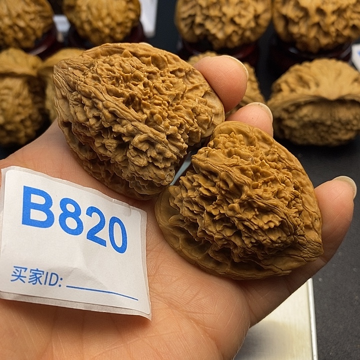 核桃满天星4.1，0000