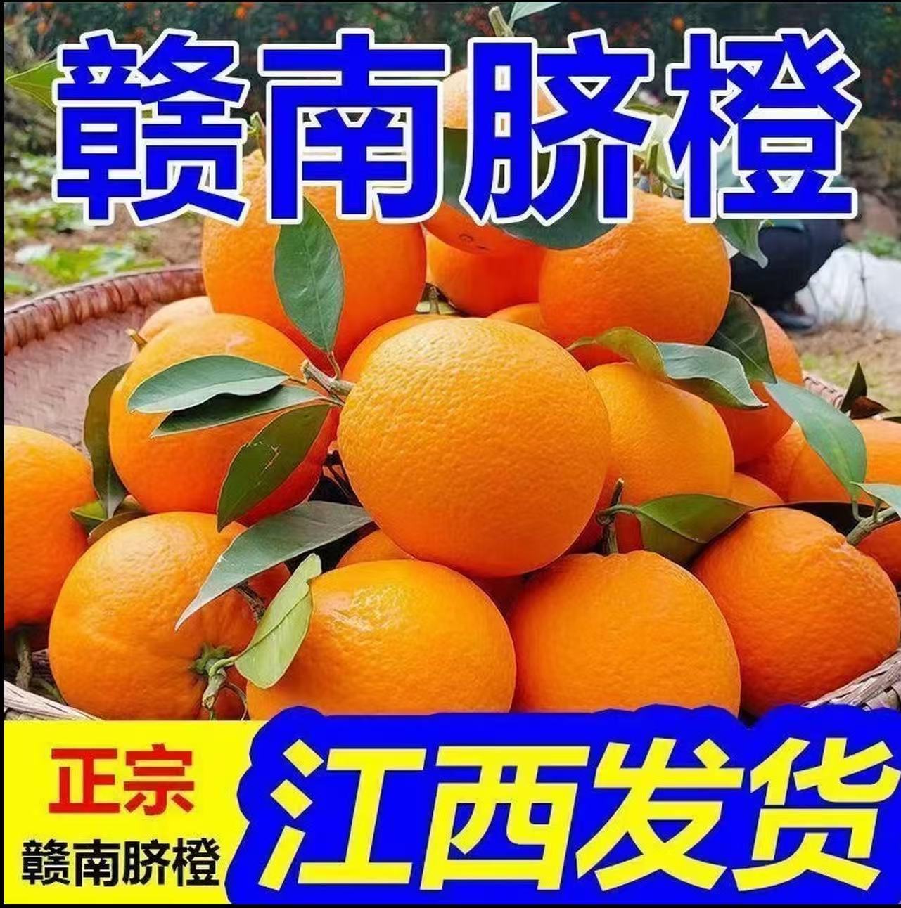 江西赣州正宗赣南脐橙新鲜现摘皮薄肉厚中果花皮果