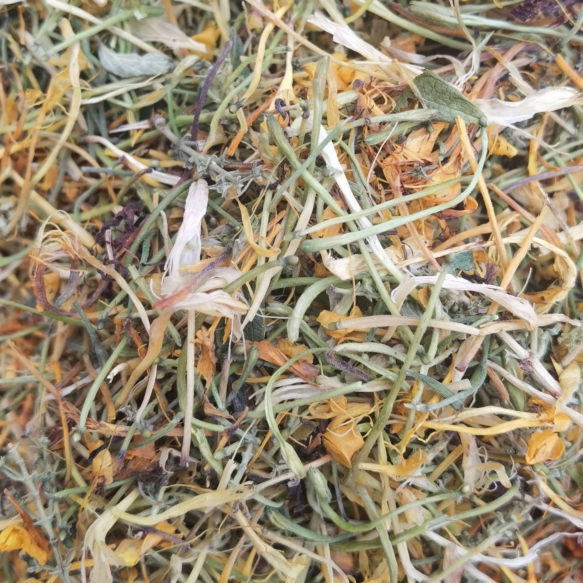 湘西已开花金银花清香花草金银花