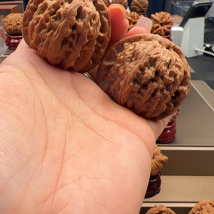 文玩核桃把件43 白狮子 a-058