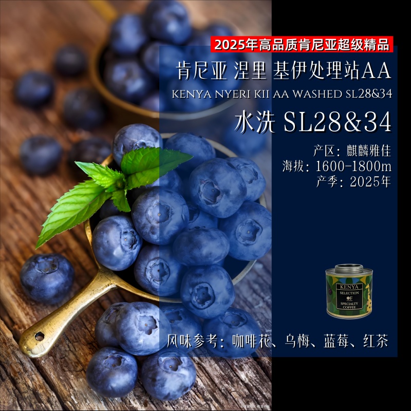<25新品>肯尼亚.涅里.基伊AA.水洗sl28&34.精品咖啡豆