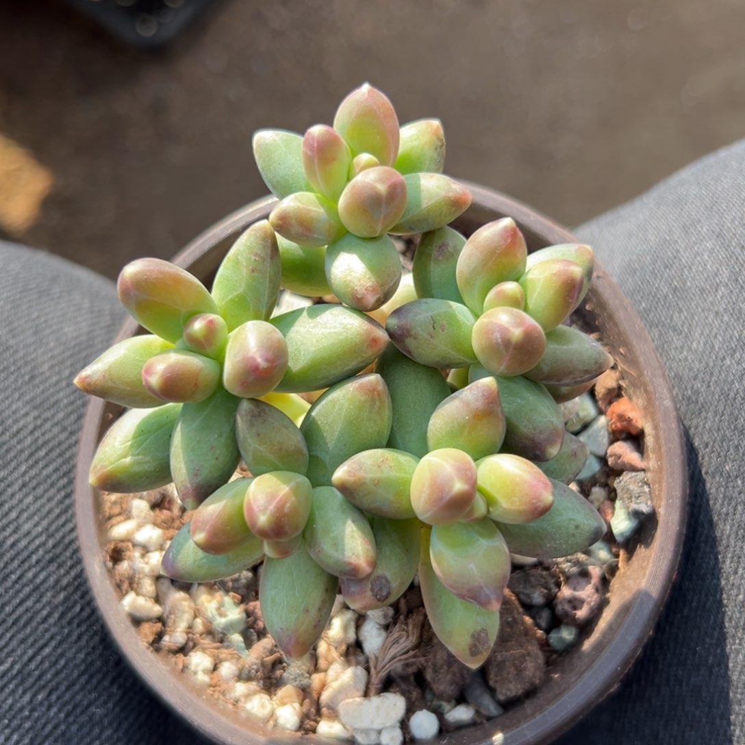 千代田111111111111111