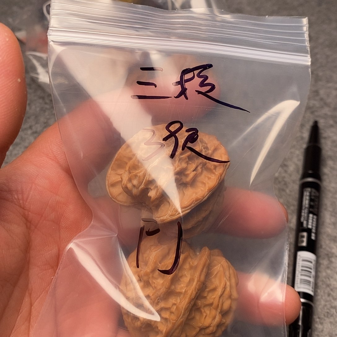 文玩核桃把件F*.三棱