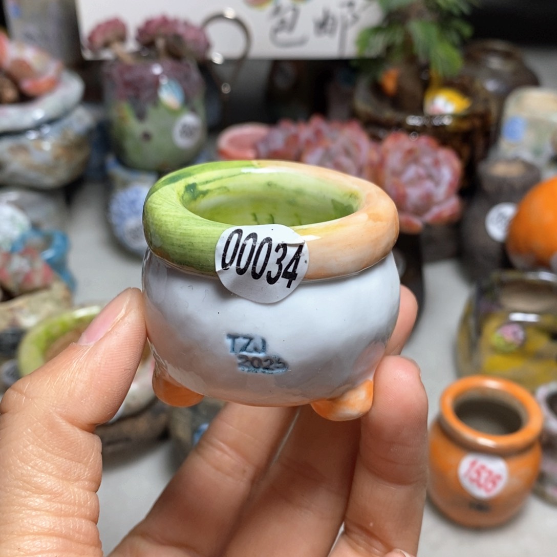 花盆拍3送一个小礼物口径3· 3左右