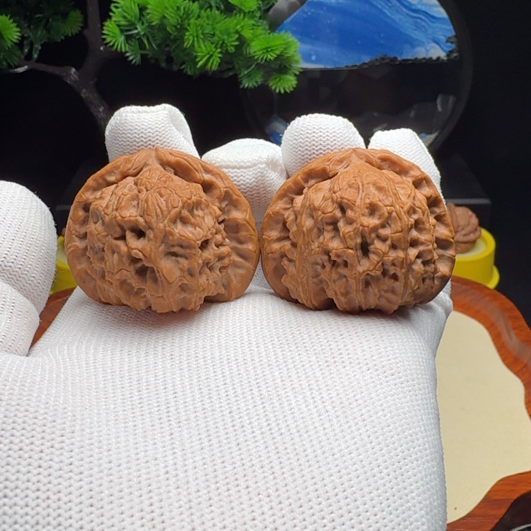 太***咯把件文玩核桃全品白狮子41