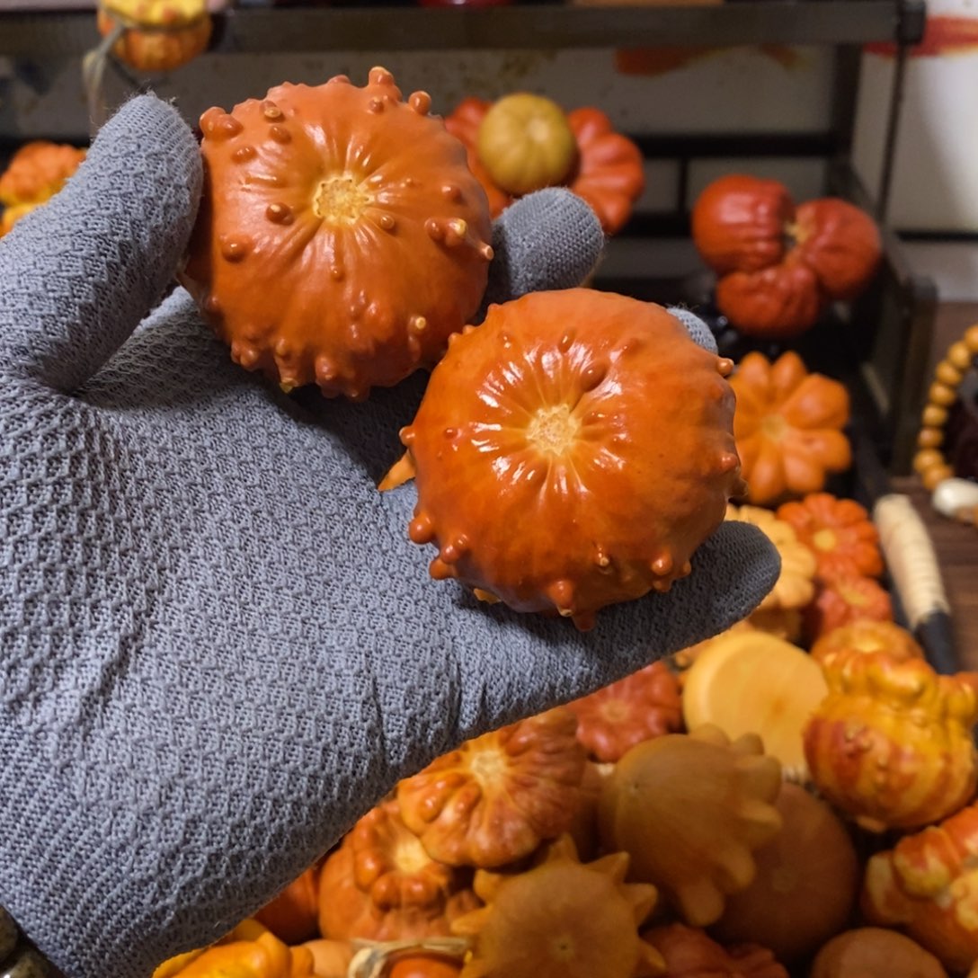 杜***勇漏255555555555555555555555