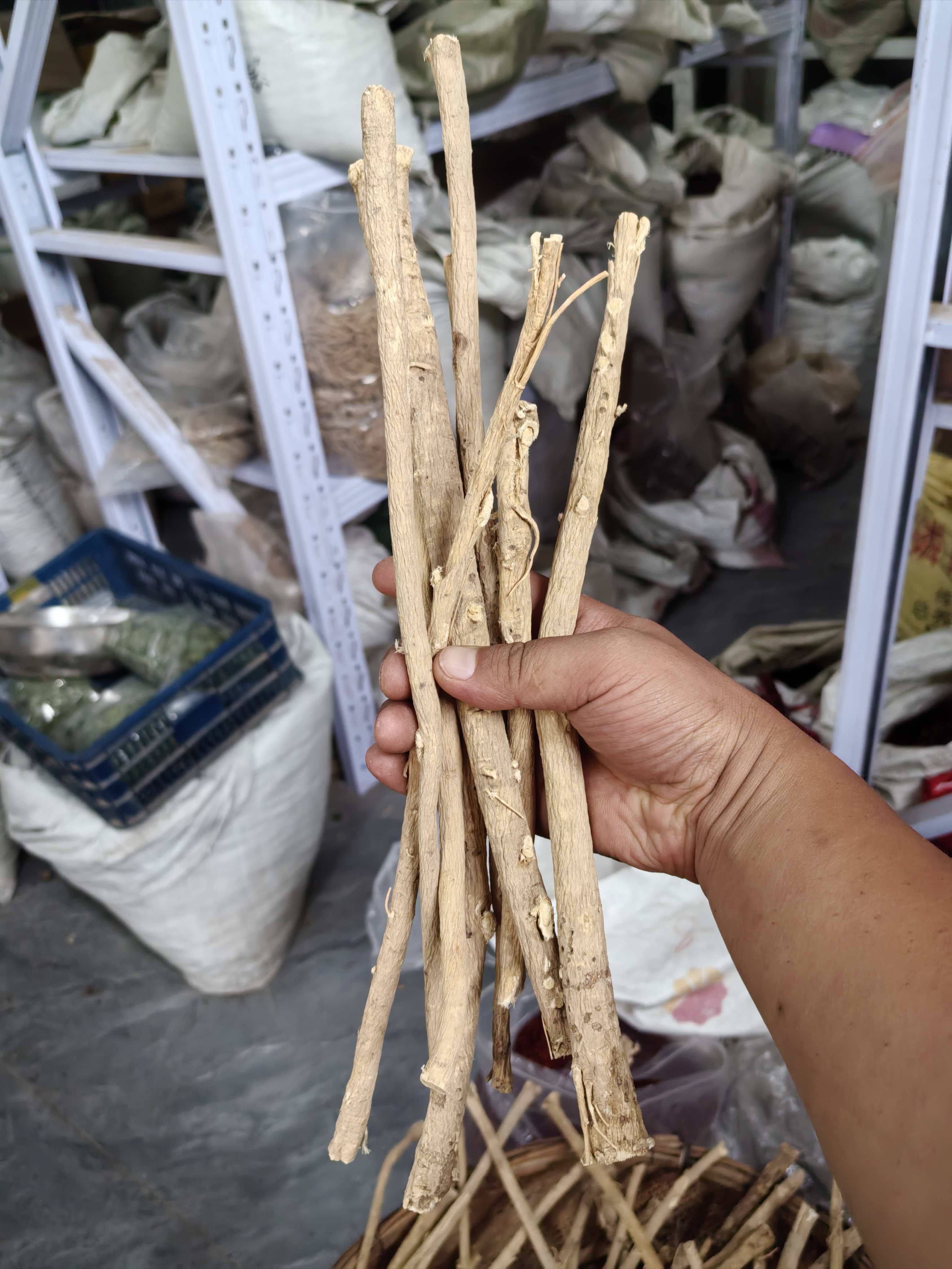 别人家整根种植黄芪半斤 粗细长短都有