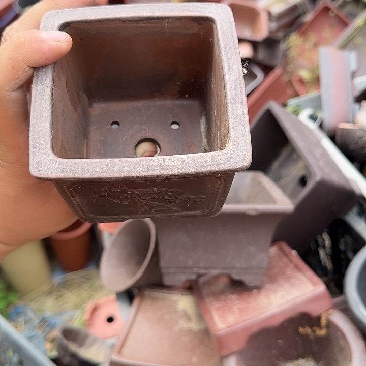 你说了就可以咯吧不要想的