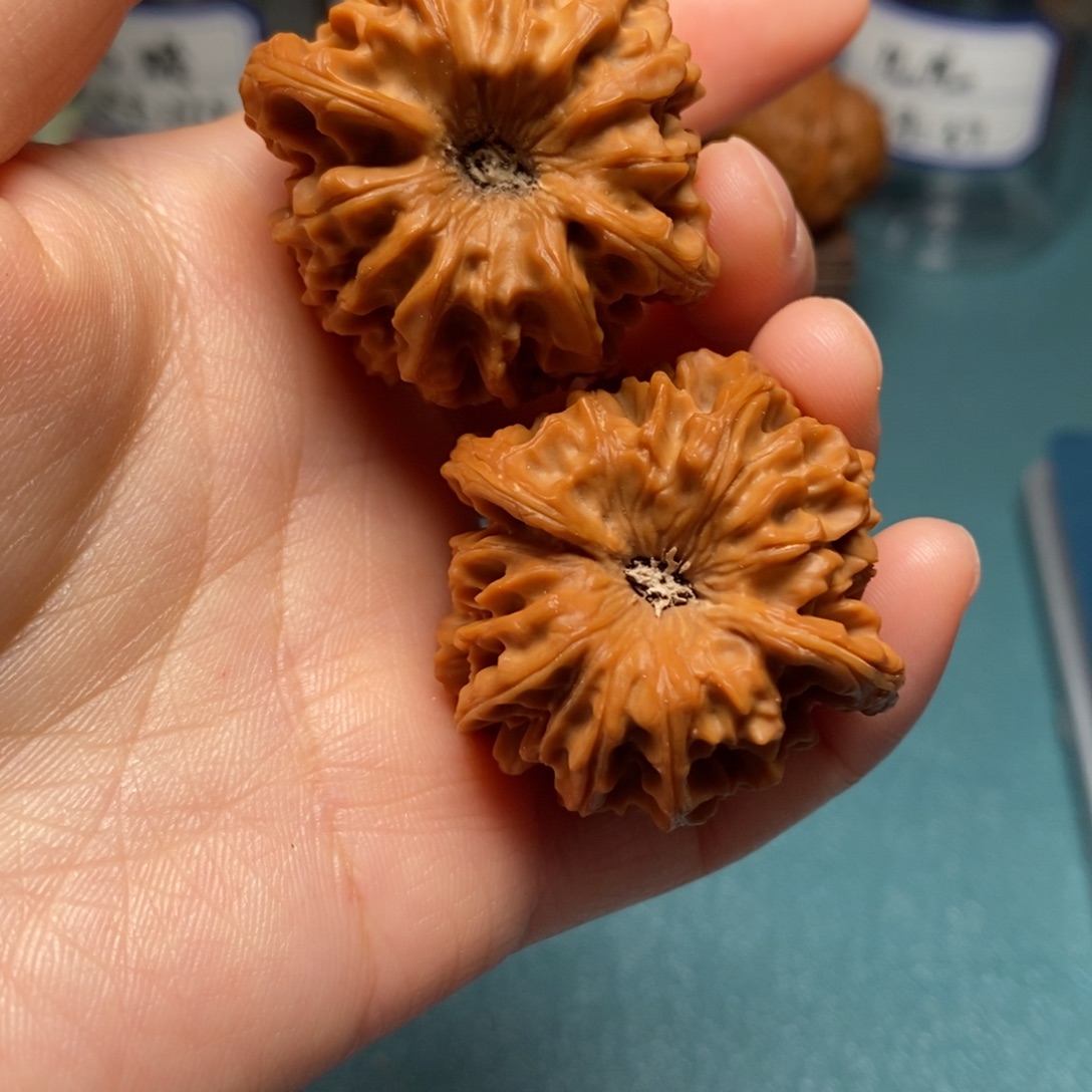 核桃39尺龙门涧微修型