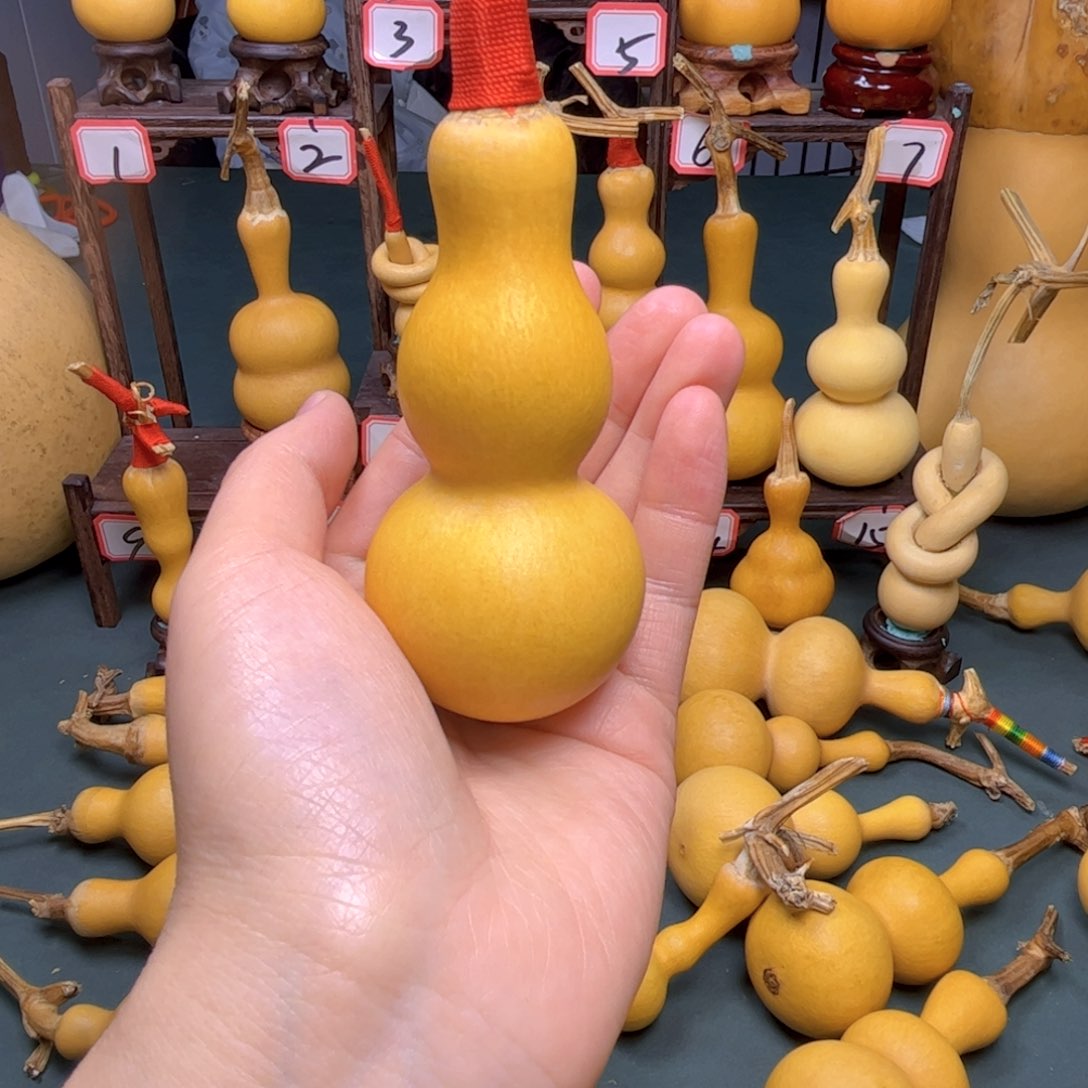 迈**?直播间专属链接，