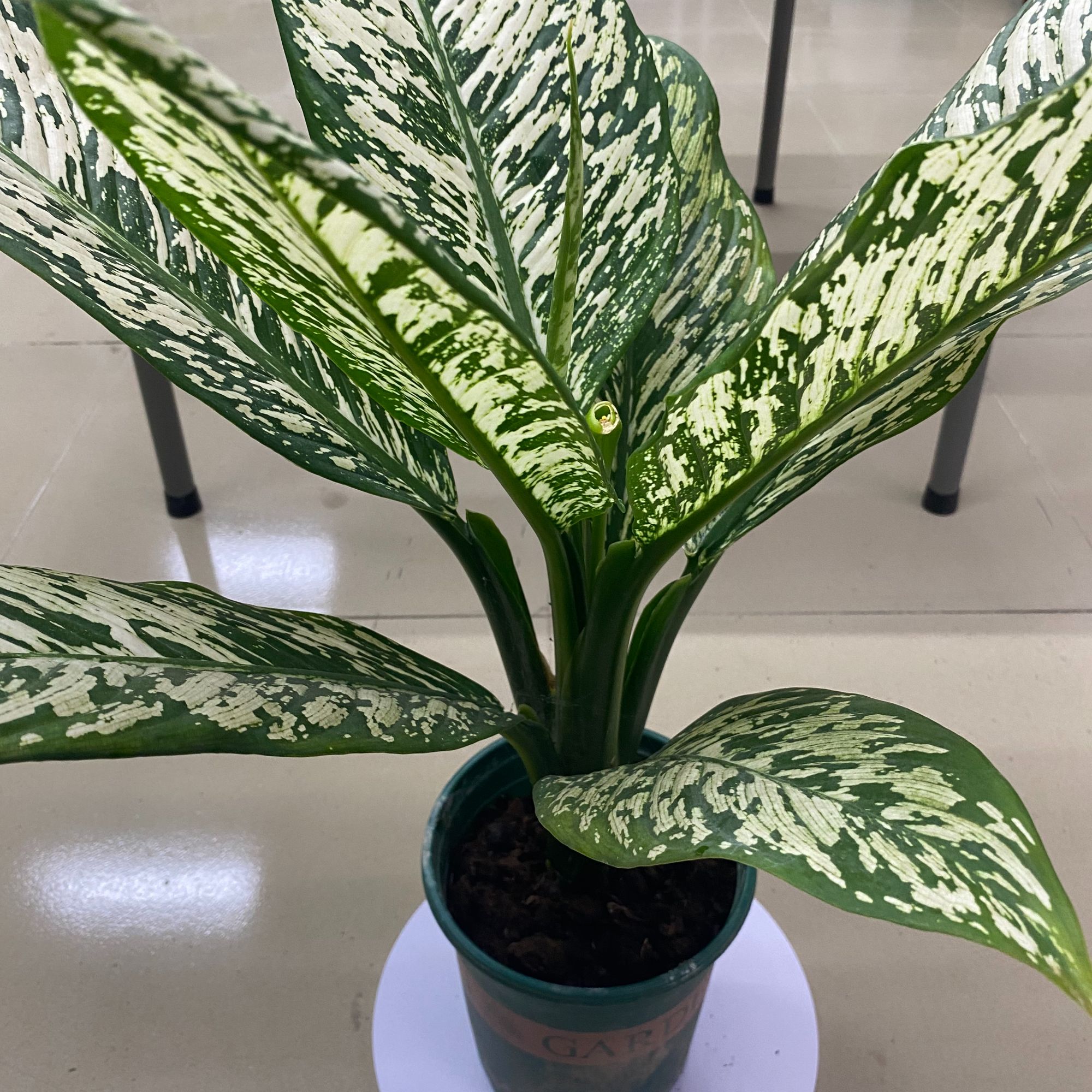 暴风雪暴风雪暴风雪