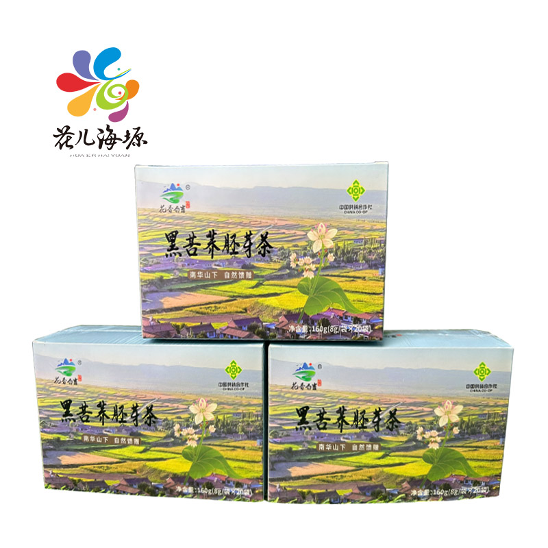 海原县黑苦荞胚芽茶3盒装160g*3