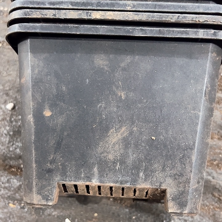 塑料口径15.5高度12黑方一组10个