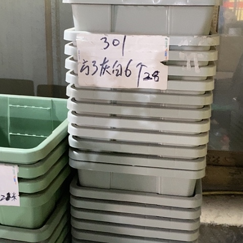 树脂编号301无托6个