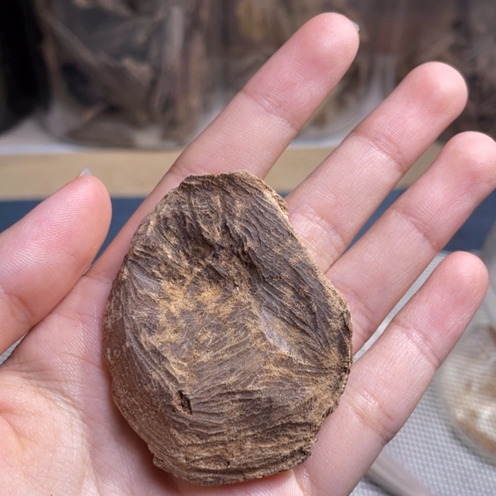 香料海南淳化老包头3.5克开播福利