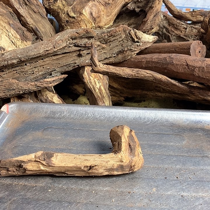 花梨木类引*人海南黄花梨