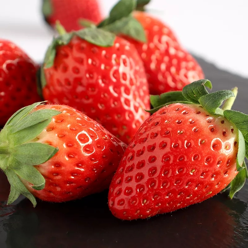 【京东快递】辽宁丹东红颜99草莓 当季新鲜水果香甜可口j