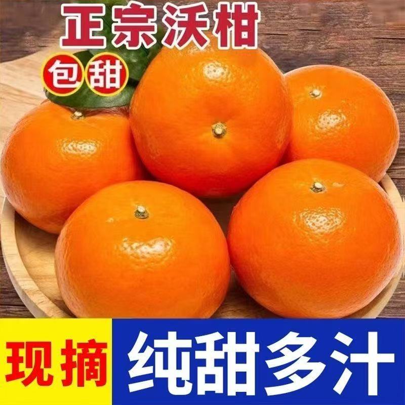 精选广西武鸣沃柑高山新鲜水果应季当季柑橘桔子薄皮整箱橘子批发