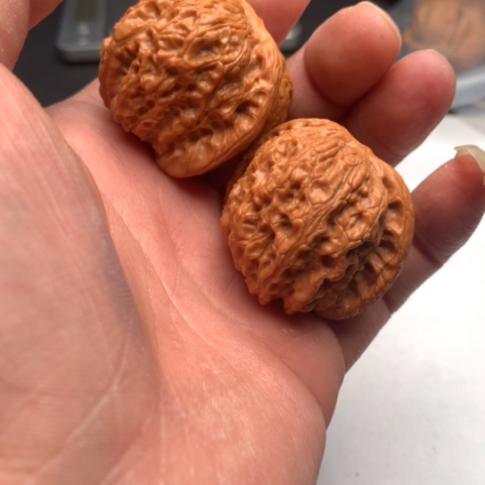 用****5我的心好累好累啊我
