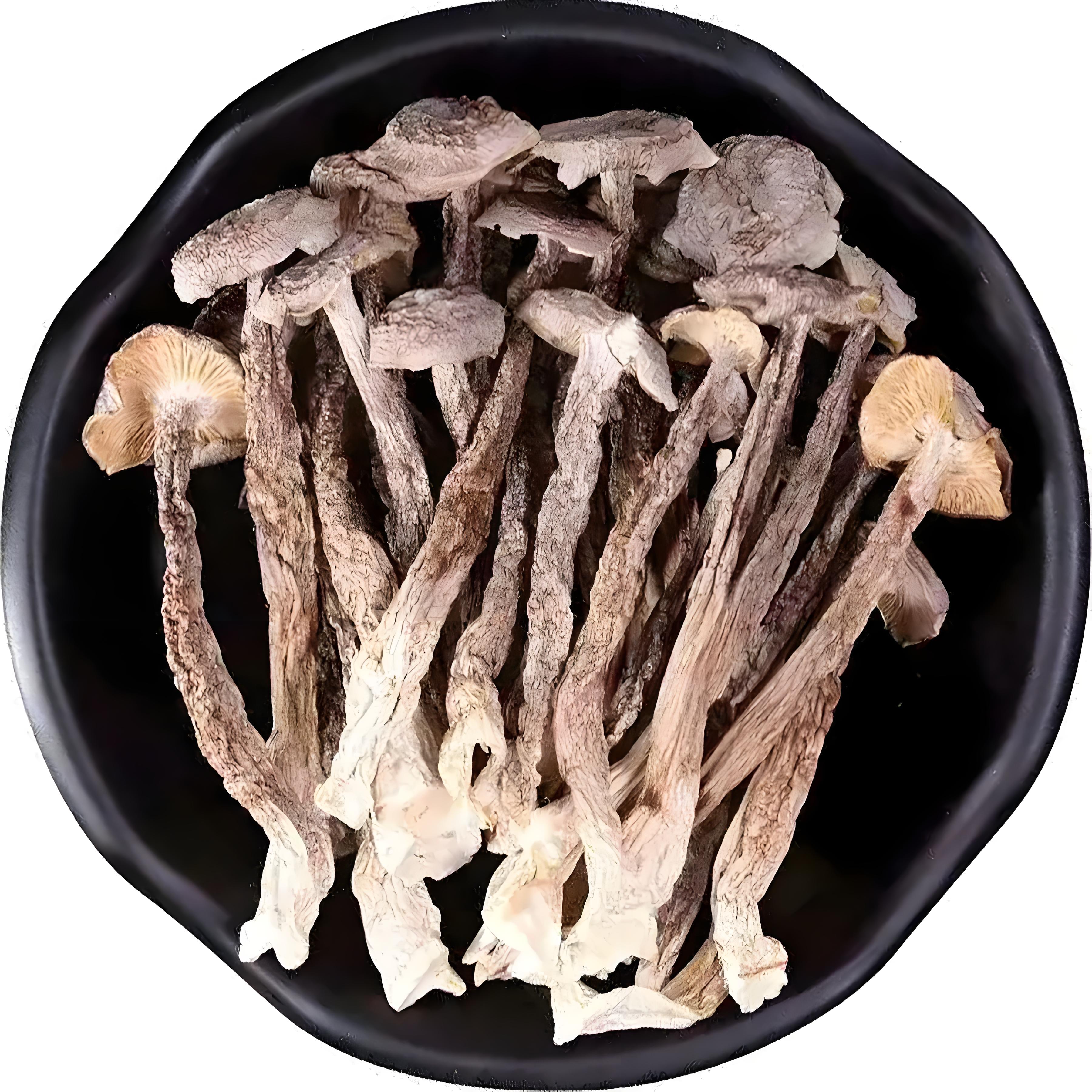 【鹿茸菇】高山甄选菇干货无熏硫可煲汤炒菜的脆脆菇