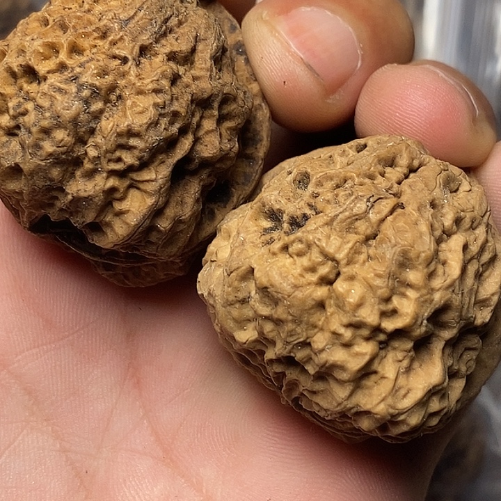 把件文玩核桃云南铁核桃57