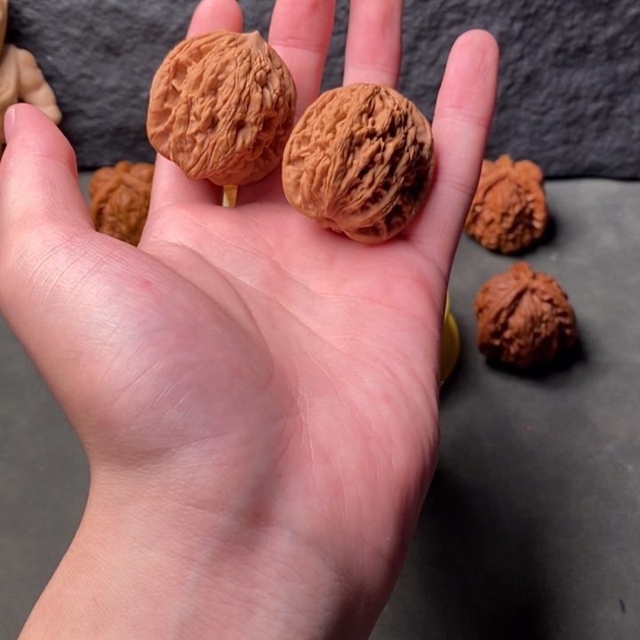 核桃等经济林果的食物有金针菜