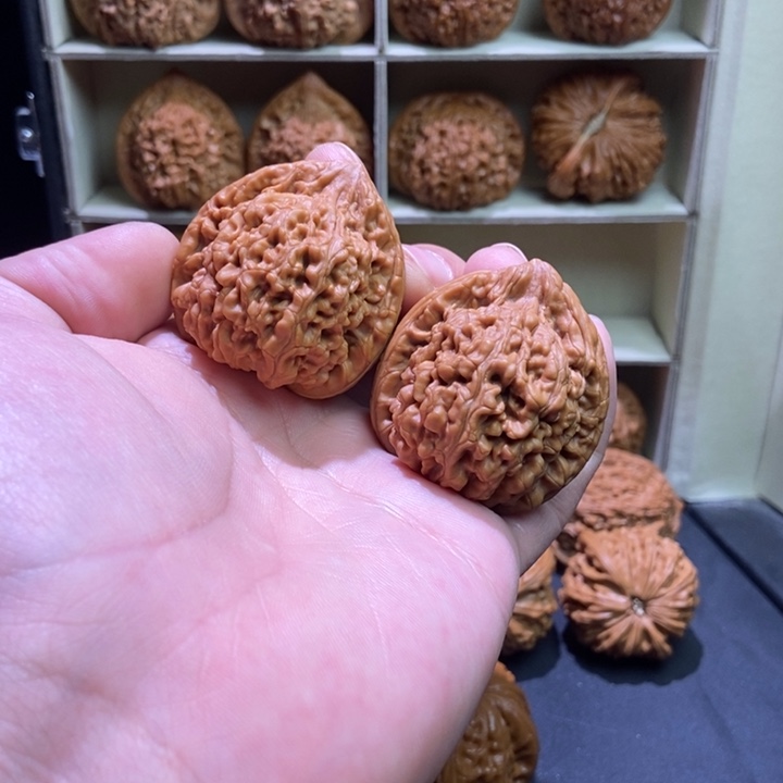 吊坠文玩核桃40蚂蚁王老树