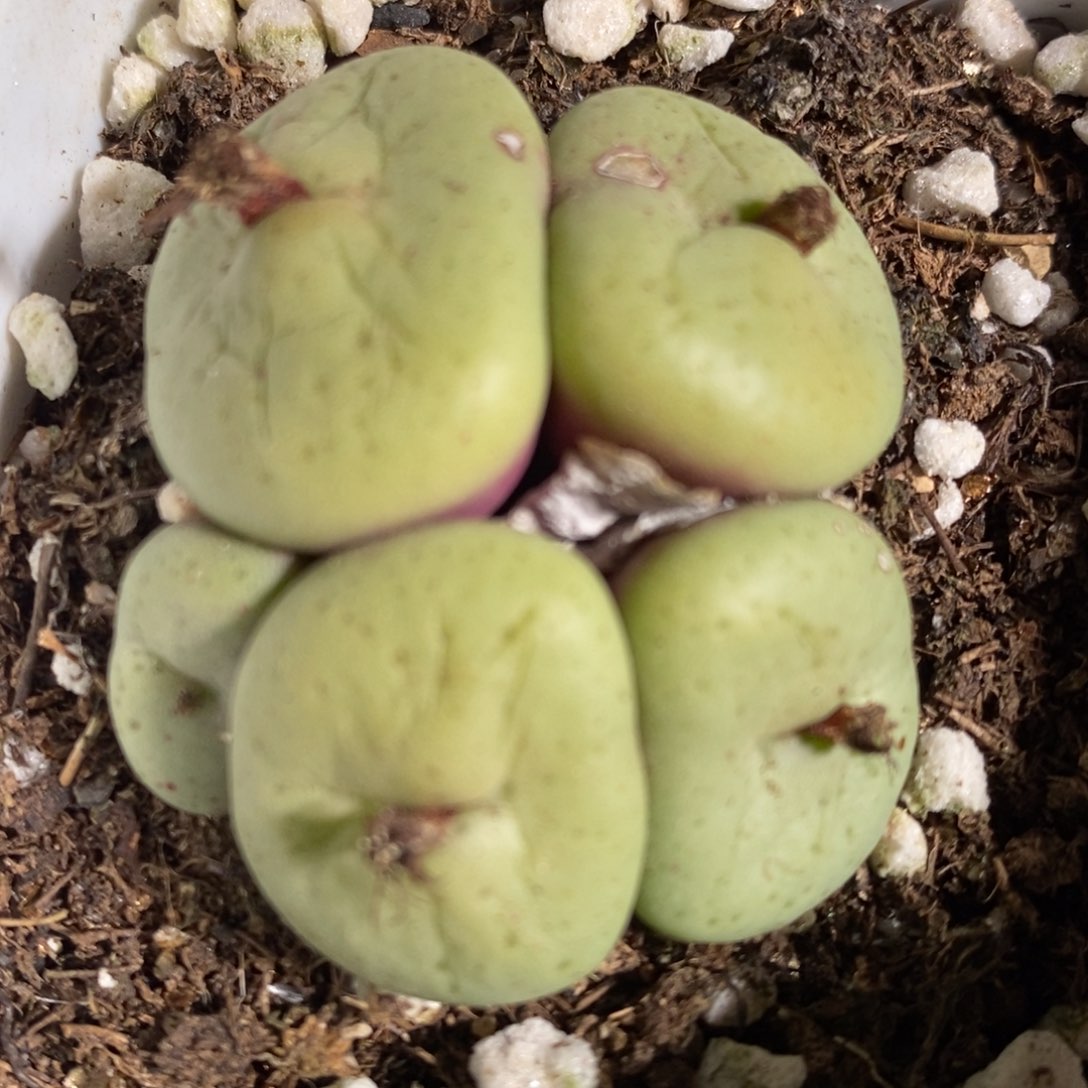 14141一个一个一个