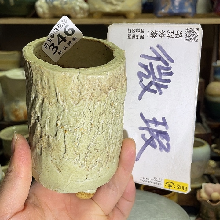 狼盆内口径5高度10