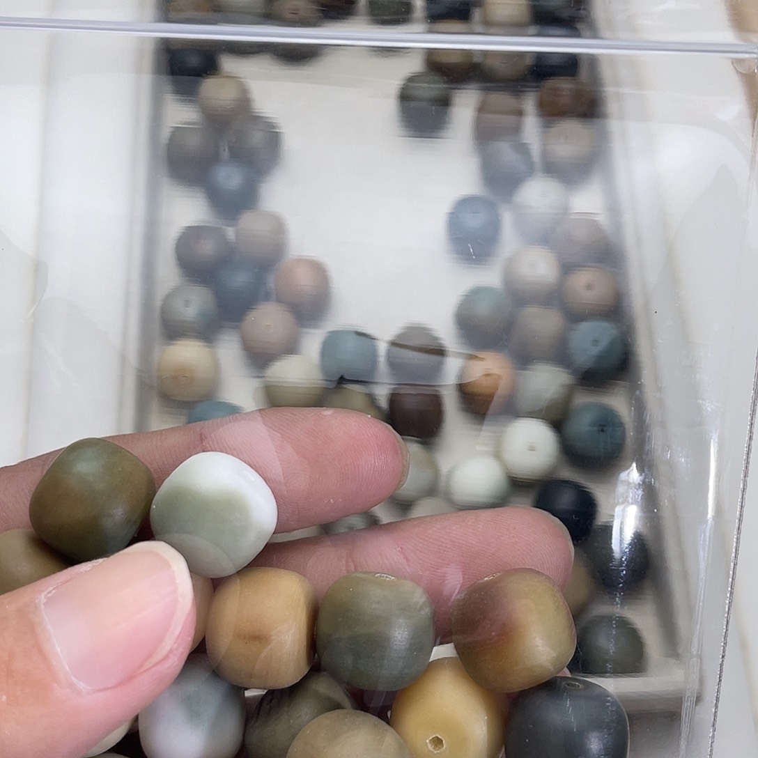 始**果菩提菩提菩提菩提