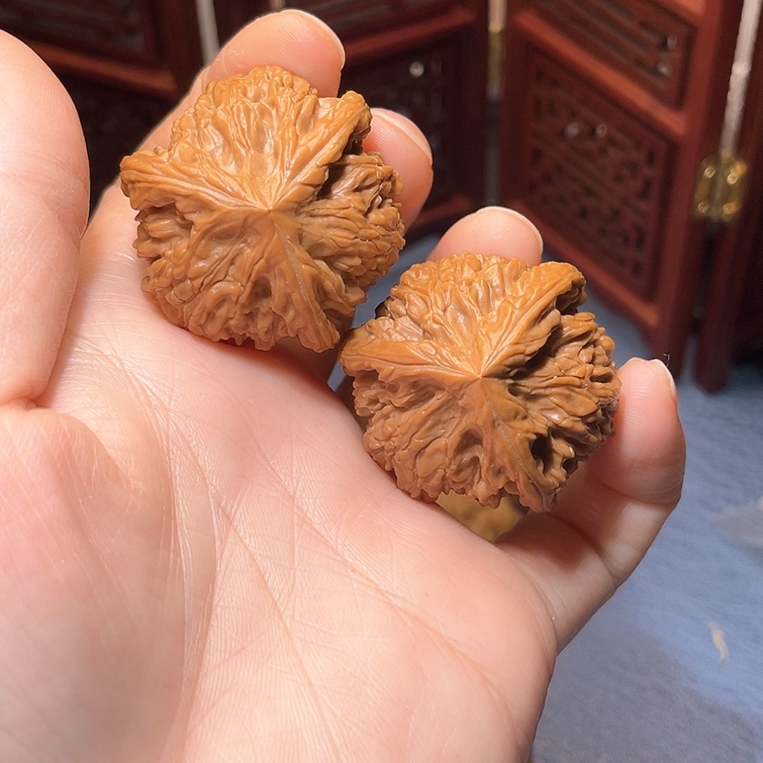 遂*37全品御龙粗筋三棱……精品