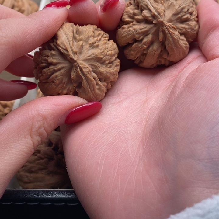 ****远文玩核桃把件霸王龙