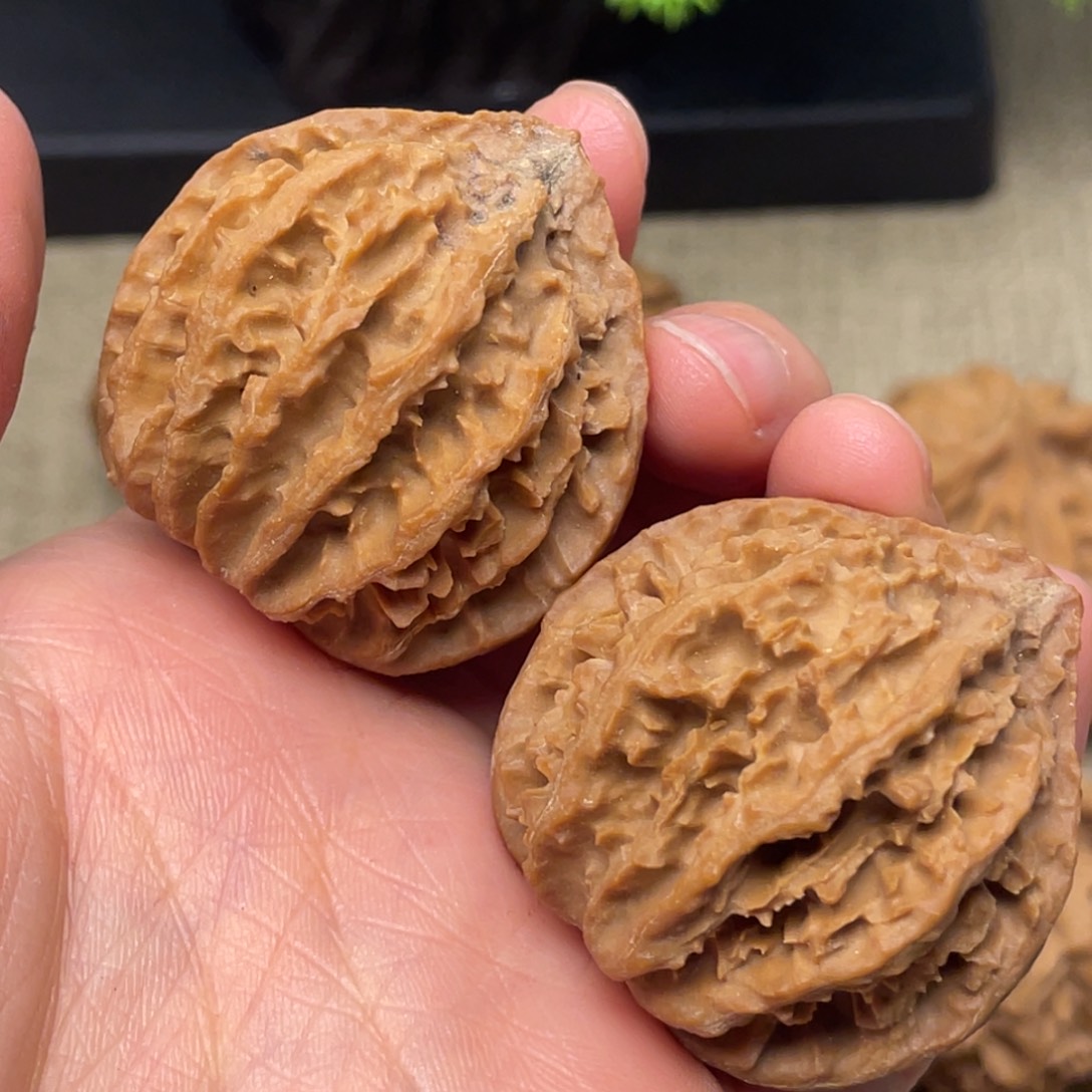 文玩核桃把件秦岭核桃5号