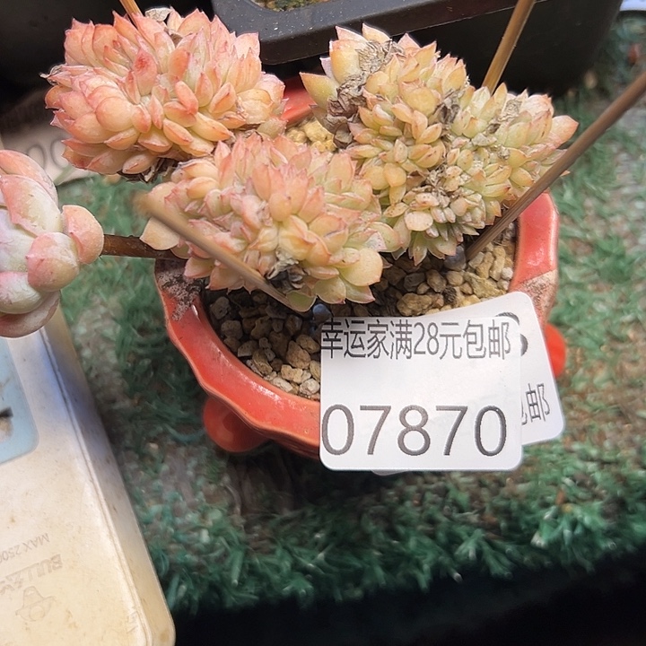 幸运的是我还没遇到