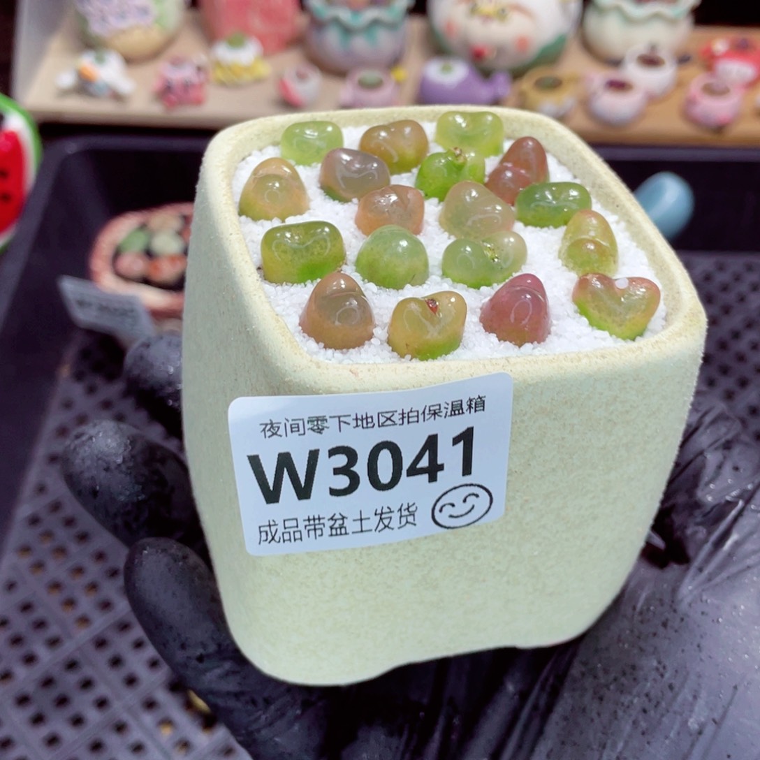 夜间零下地区拍保温箱w3041