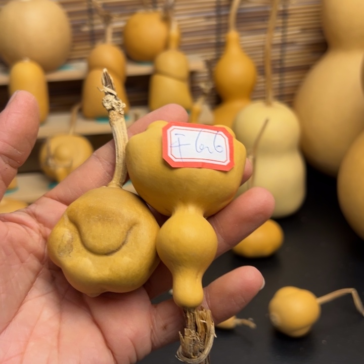 咆****?葫芦葫芦葫芦葫芦葫芦葫芦