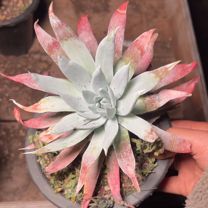 072哈哈哈哈哈哈哈哈