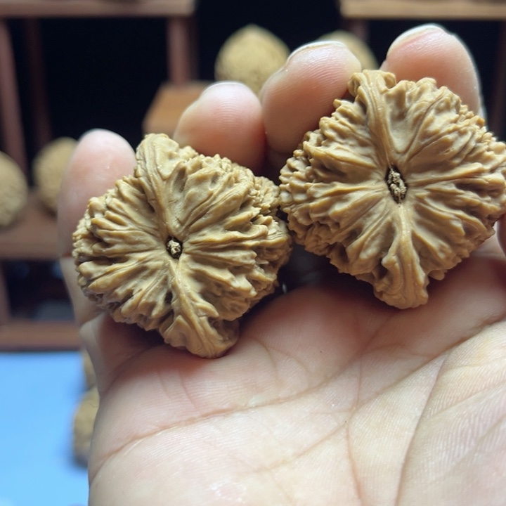 完全开放大*物南疆石