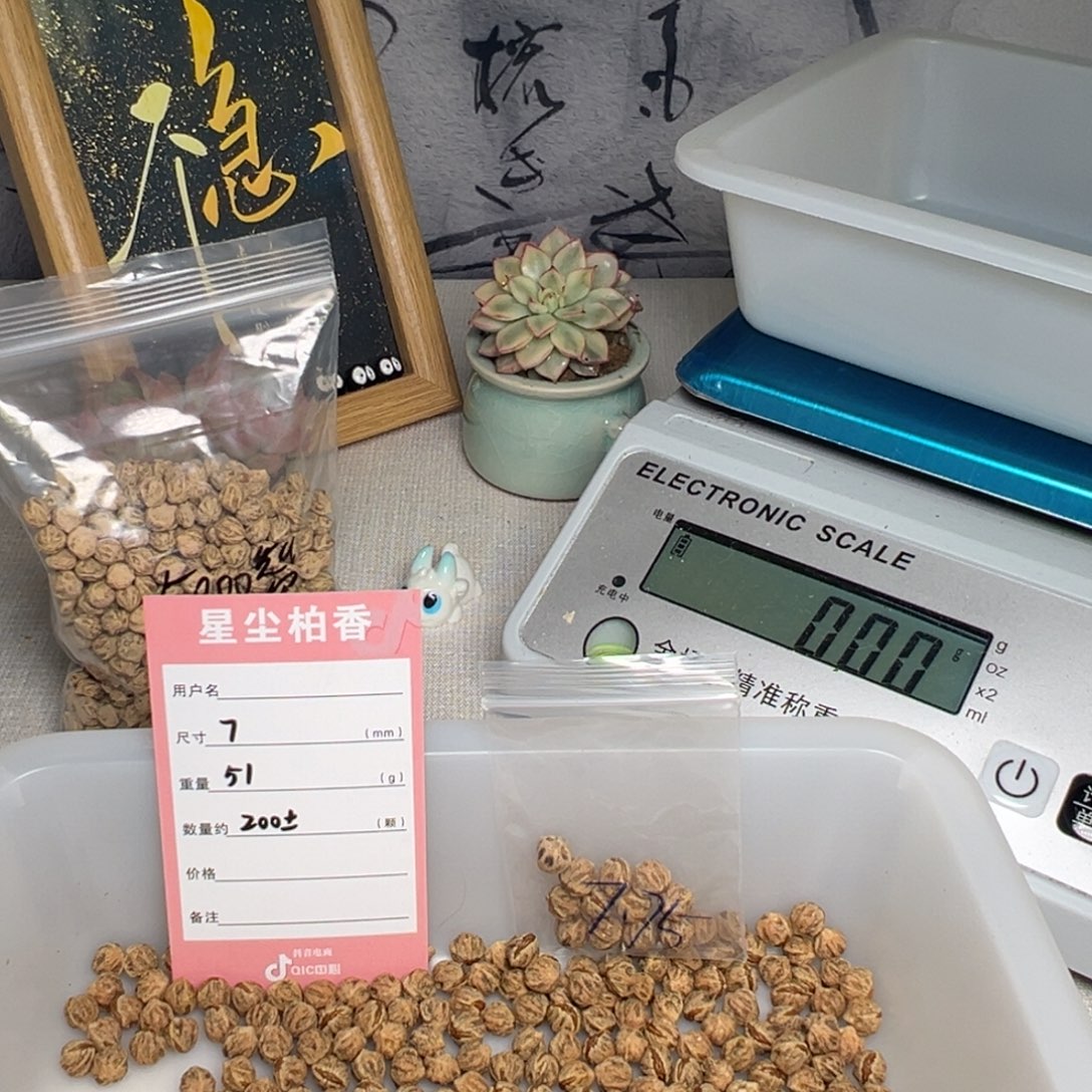 吊坠柏香籽/百香籽