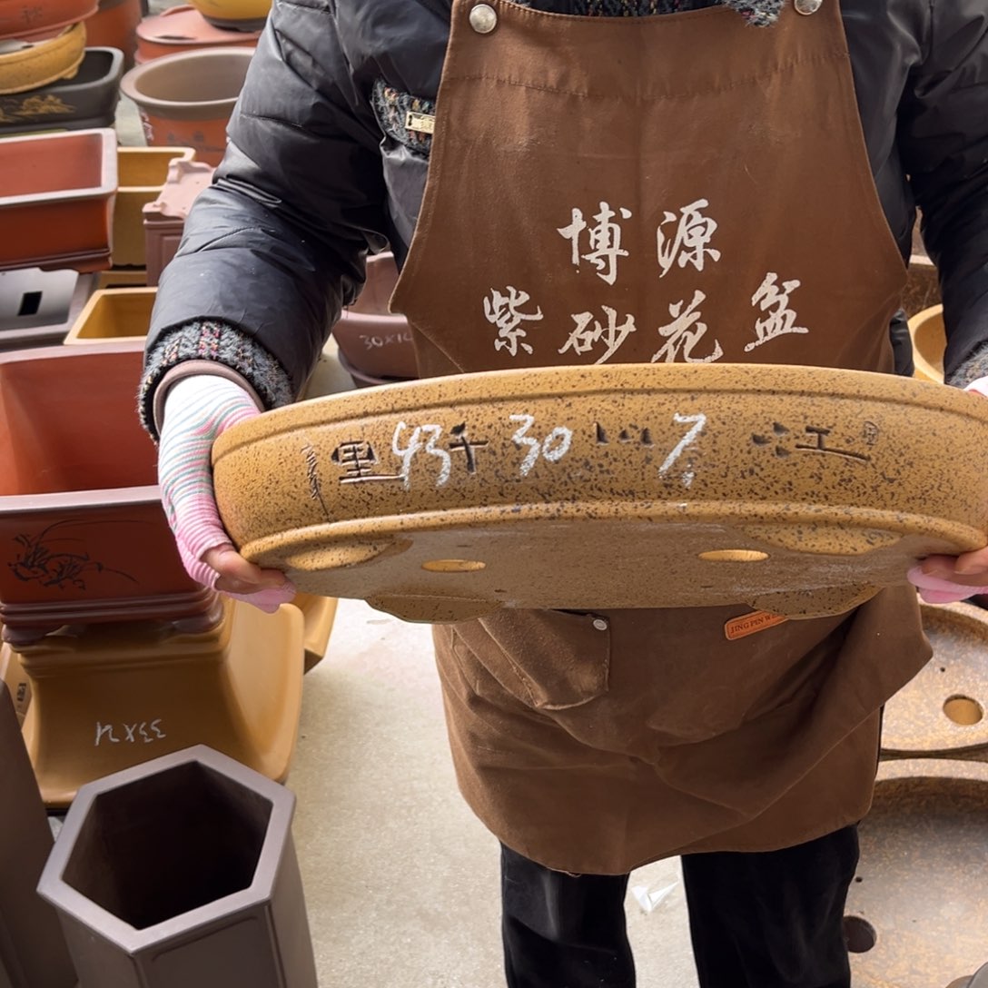 紫砂花盆盆景艺术