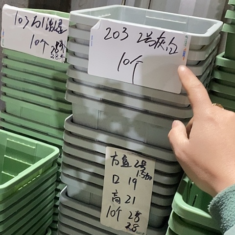 树脂编号203无托10个