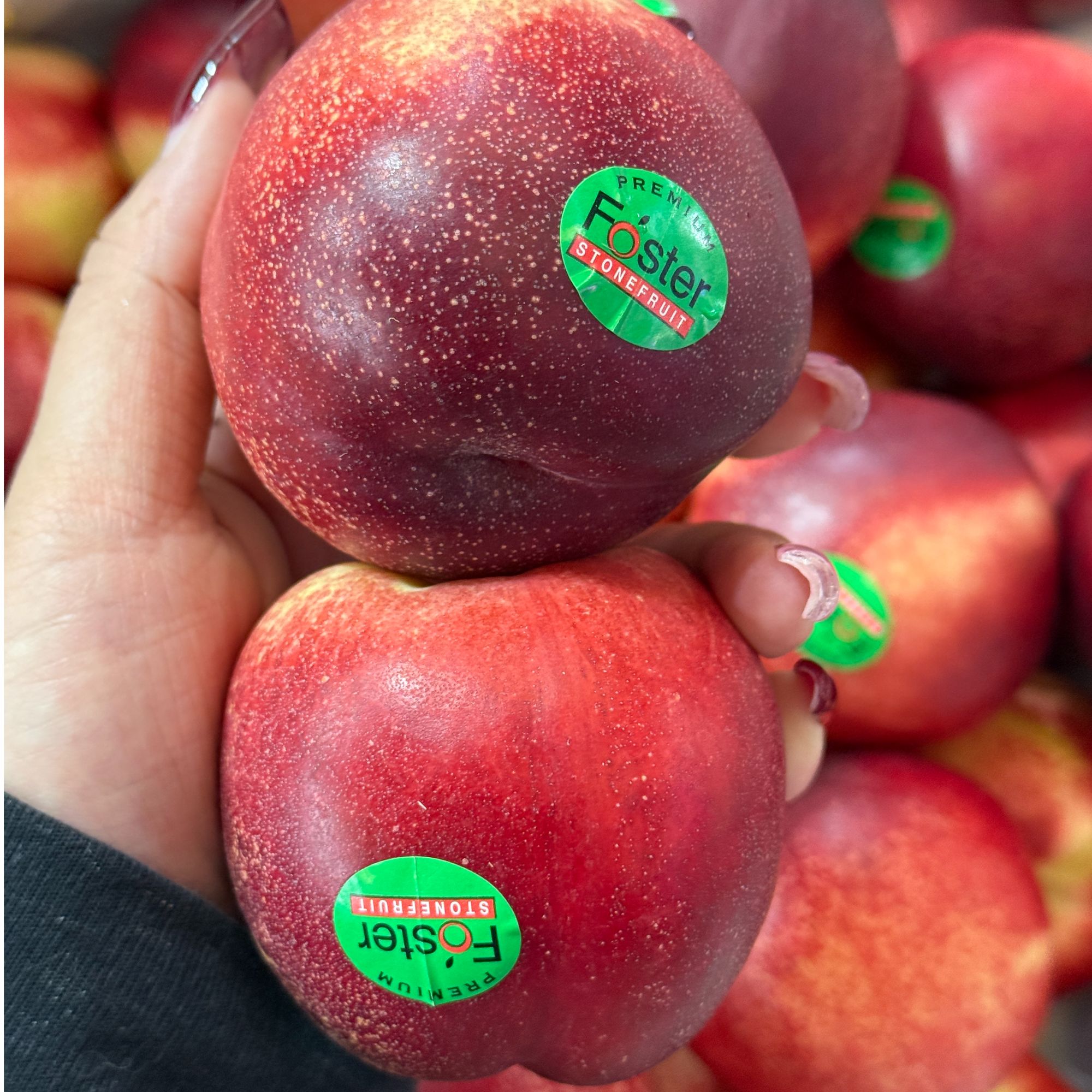 【盈福优选】澳洲进口白肉油桃 桃驳李 新鲜脆甜 